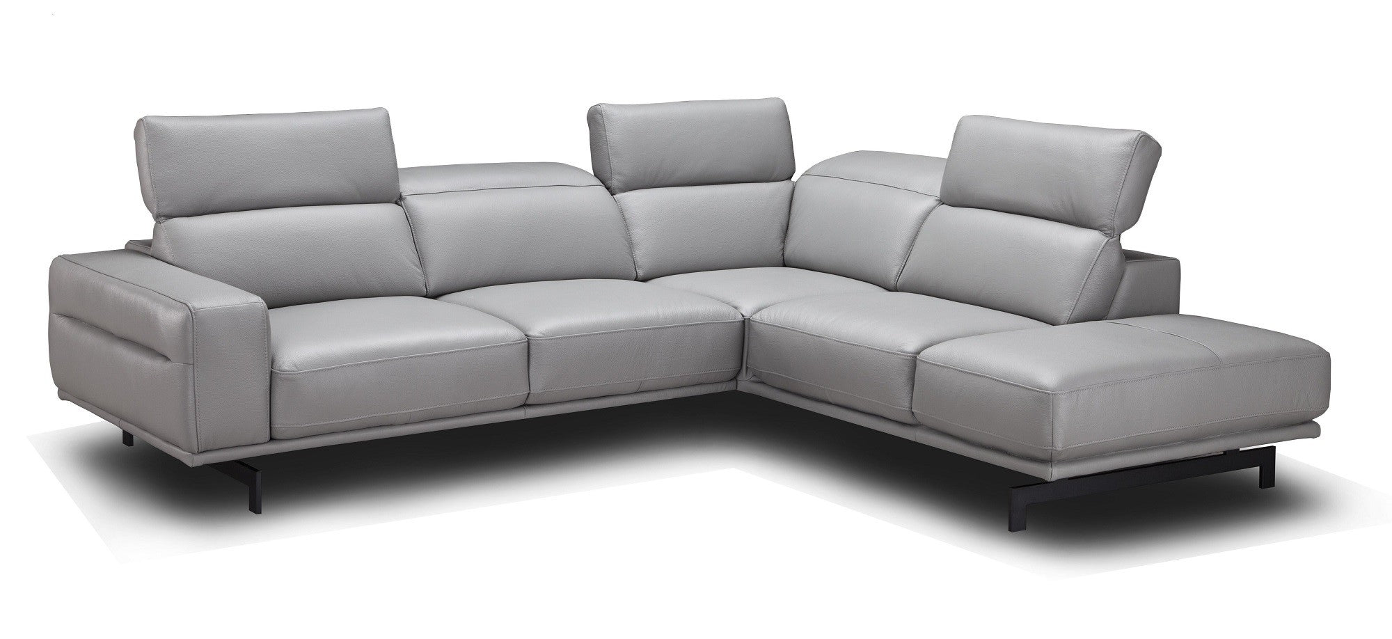 Davenport Leather Sectional J&M