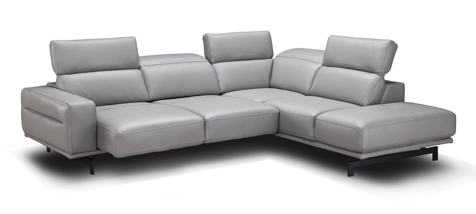 Davenport Leather Sectional J&M