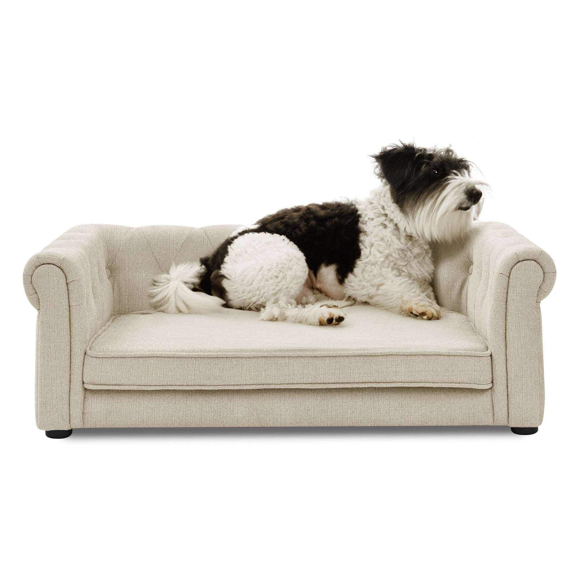 Modern Elegant Rectangle Pet Bed Durable Elevated Dog Sofa Beige