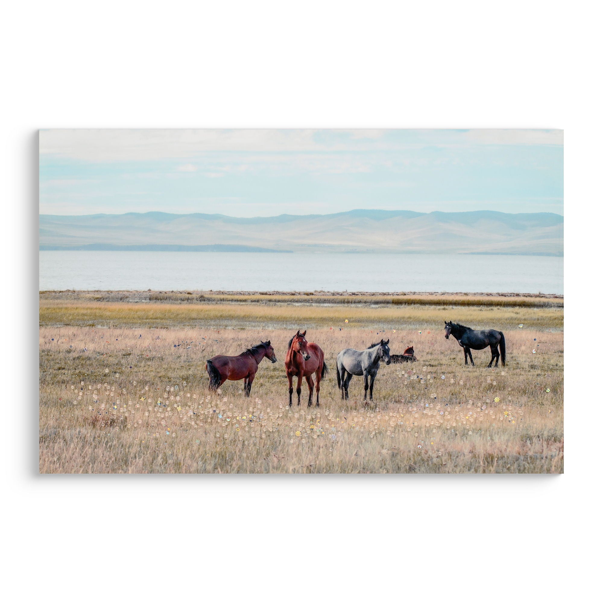 Horse Framed Wall Art Decor For Living Room - Denim / Brown