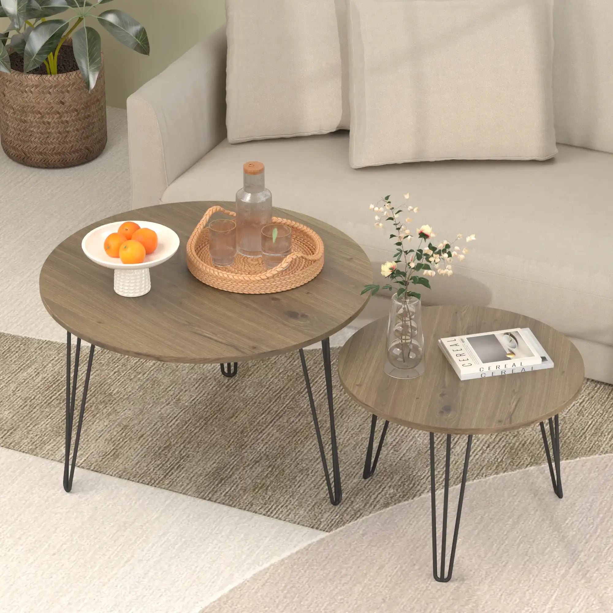 Echo Round Nesting Coffee Table Set of 2