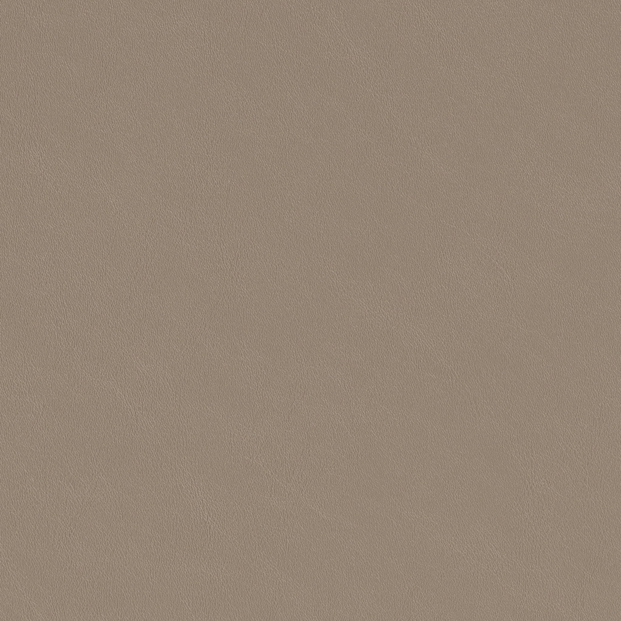 Ruge - Dining Chair (Set of 2) - Beige