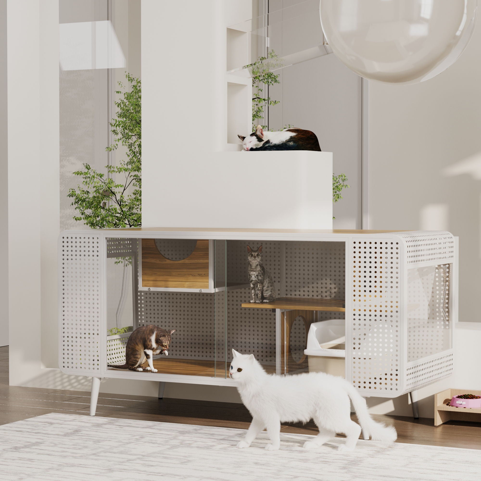 Cat House With Tempered Glass