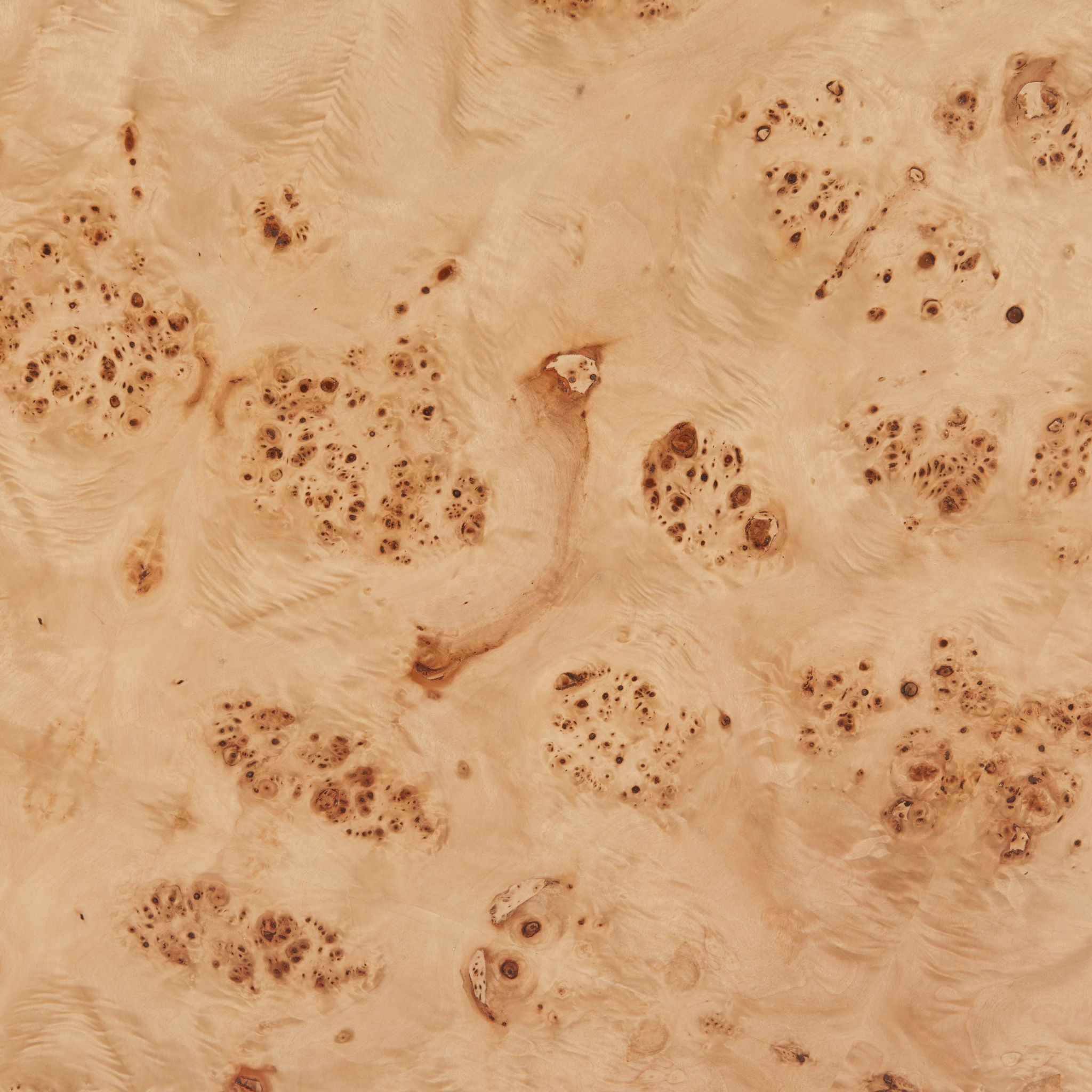 Burl - 2 in 1 Table - Natural