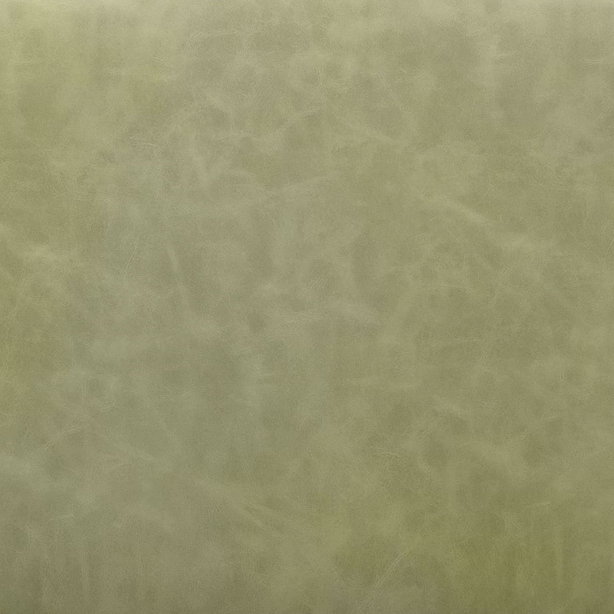 Charon - Dining Chair (Set of 2)