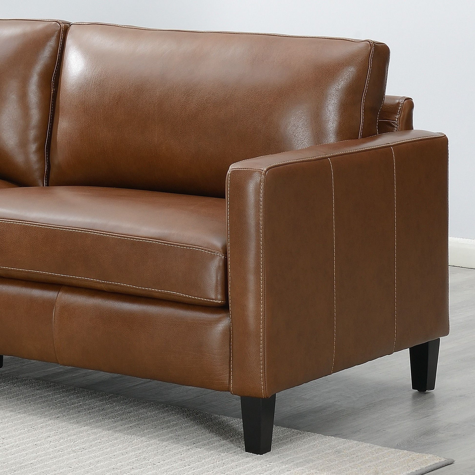 Modern & Contemporary Leather Sofa - Best Buy Furniture