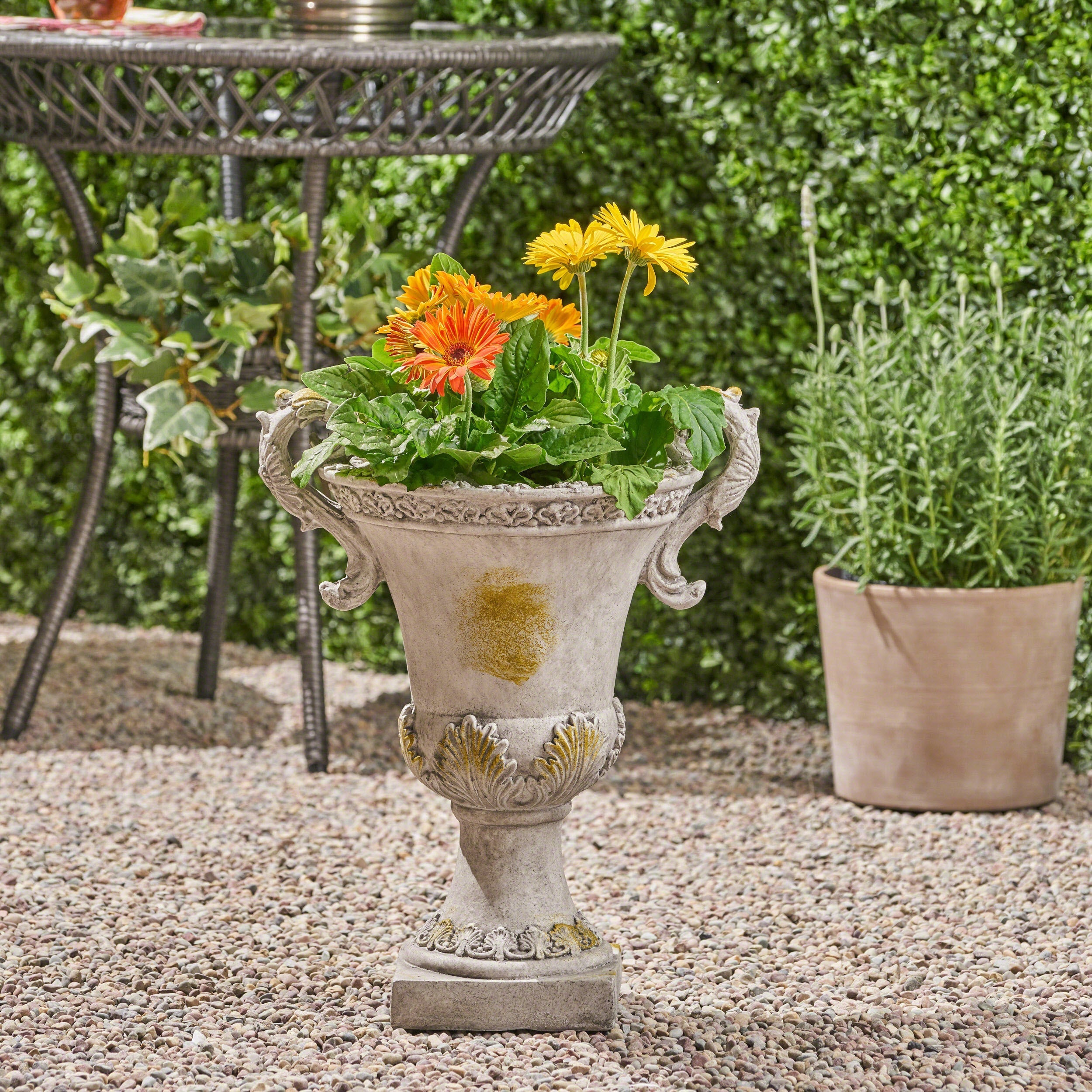 Delphine Urn