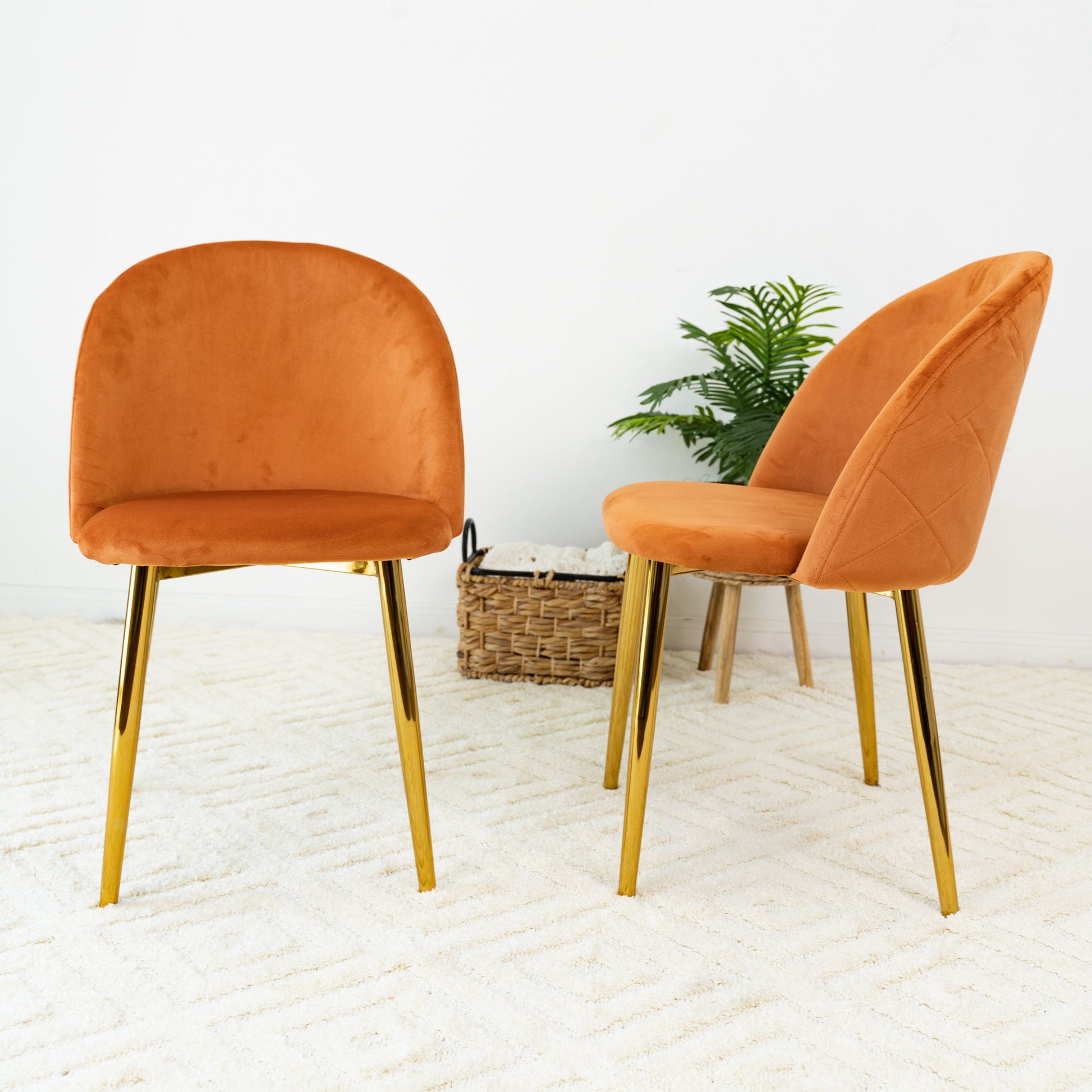Marion - Mid Century Modern Dining Chair (Set of 2) - Best Buy Furniture