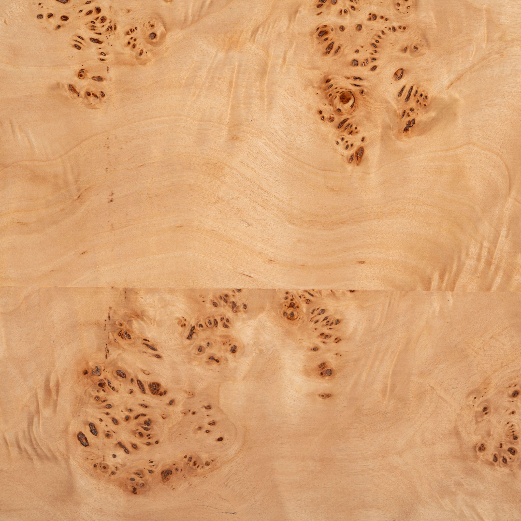 Nazuk - Entertainment Stand - Multicolor