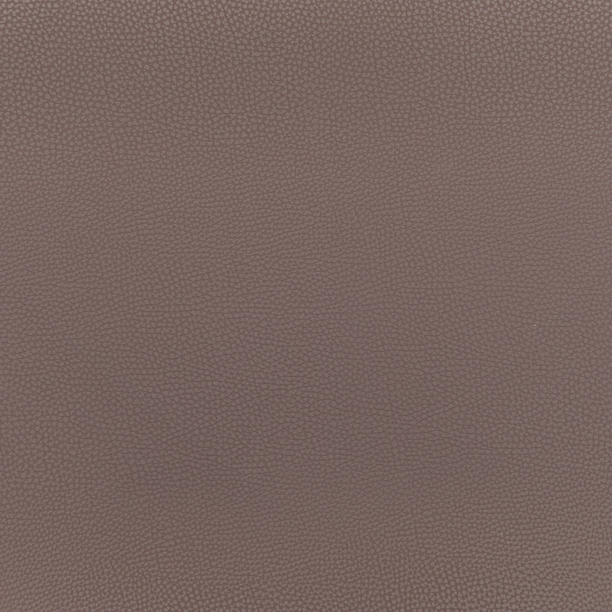 Desi - Barstool (Set of 2)