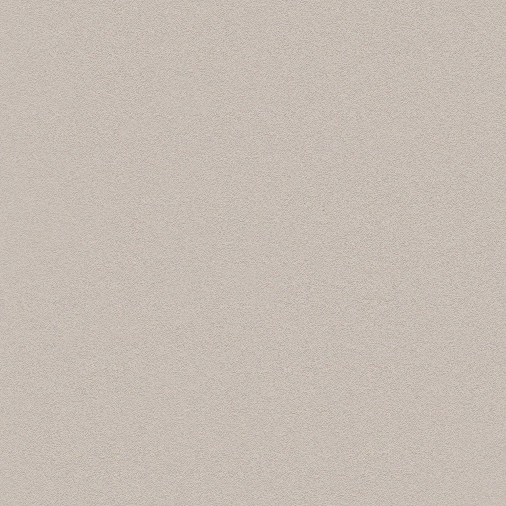 Zeal - Dining Chair (Set of 4) - Light Gray