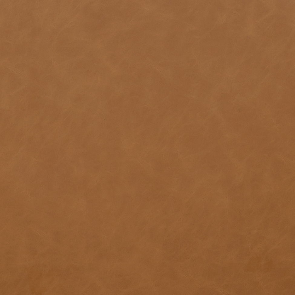 Nikita - Dining Chair