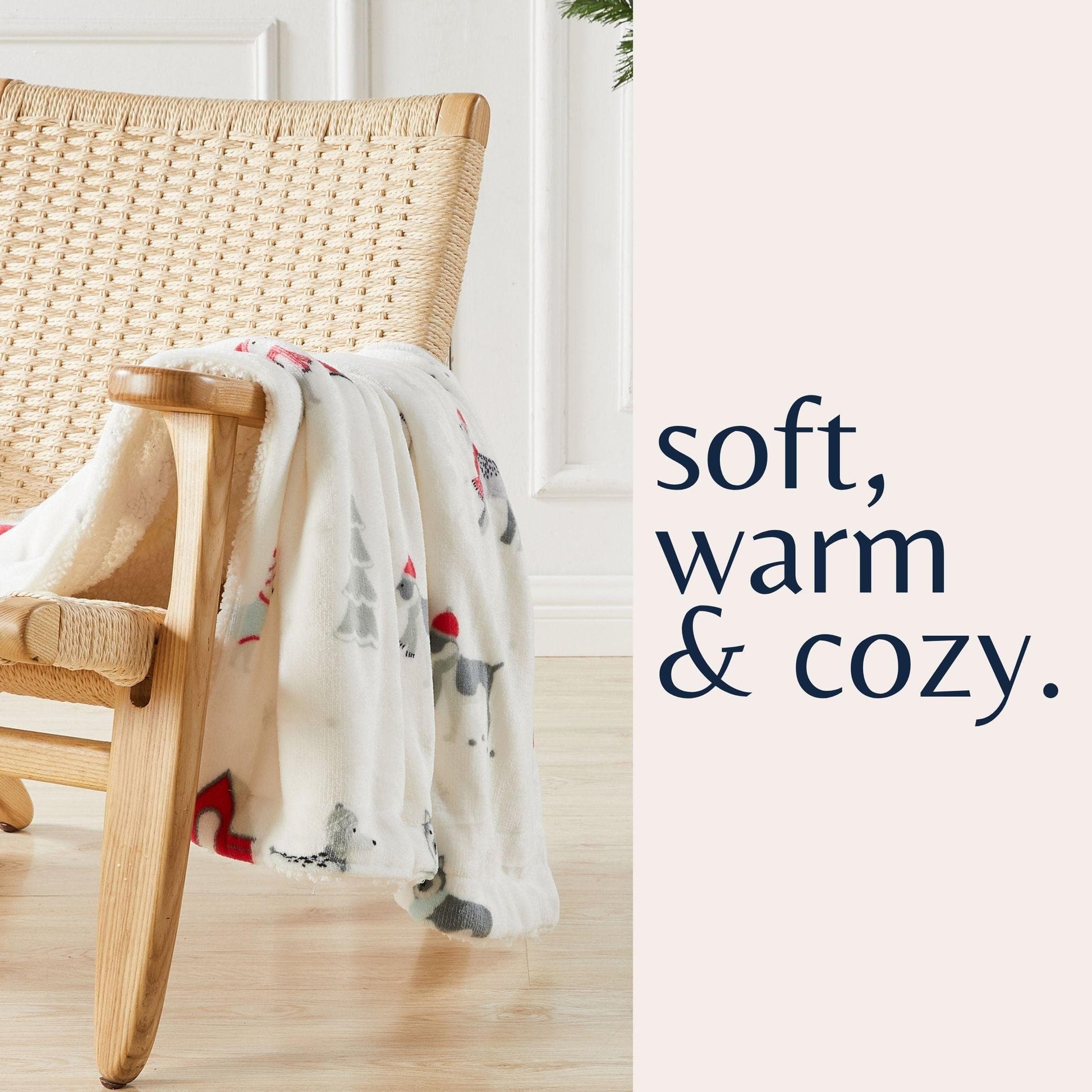 Sherpa Throw Blanket - Eve Collection - Best Buy Furniture