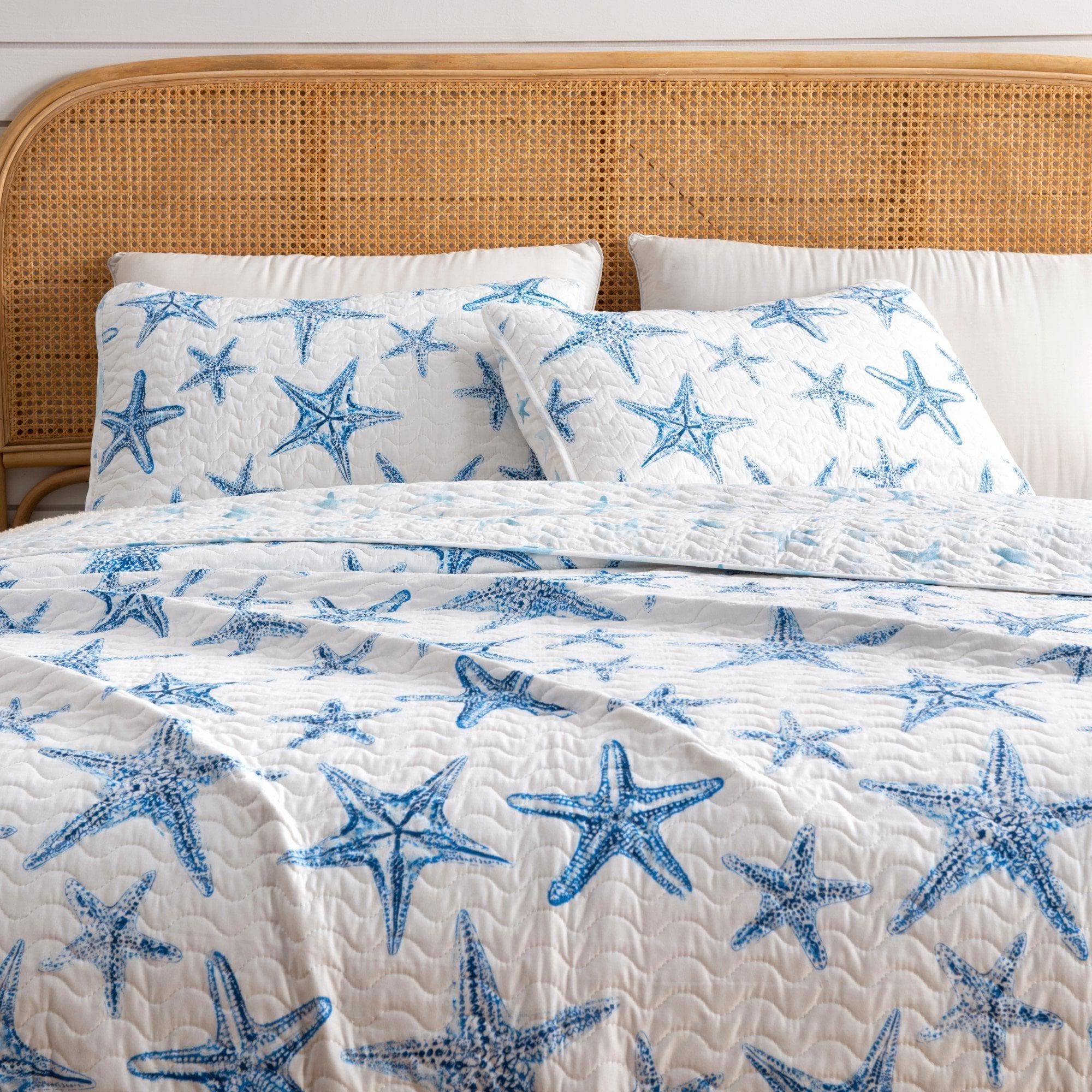 Blue Seashell Coastal Quilt Set - Trinidad Collection - Best Buy Furniture