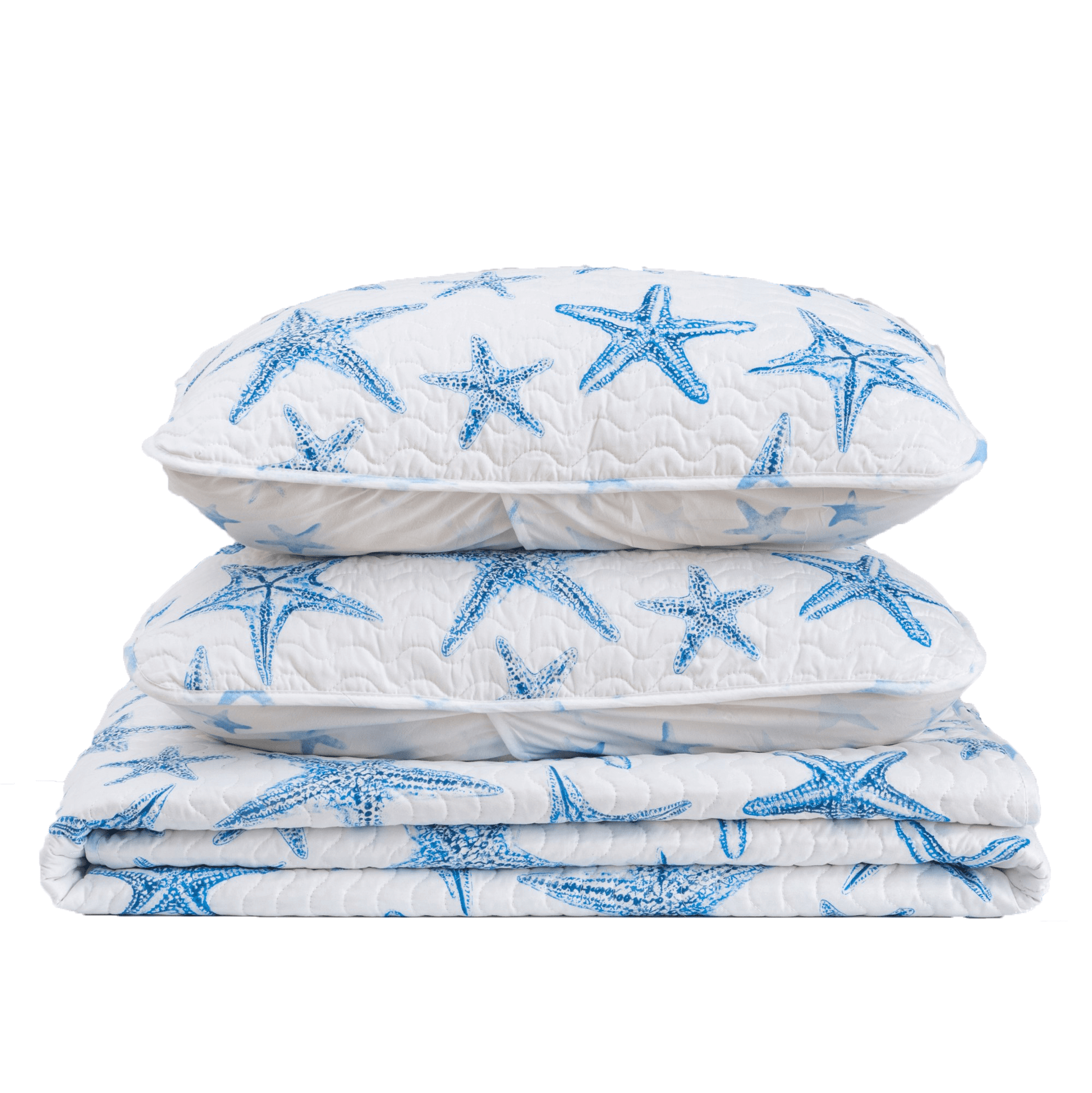 Blue Seashell Coastal Quilt Set - Trinidad Collection - Best Buy Furniture