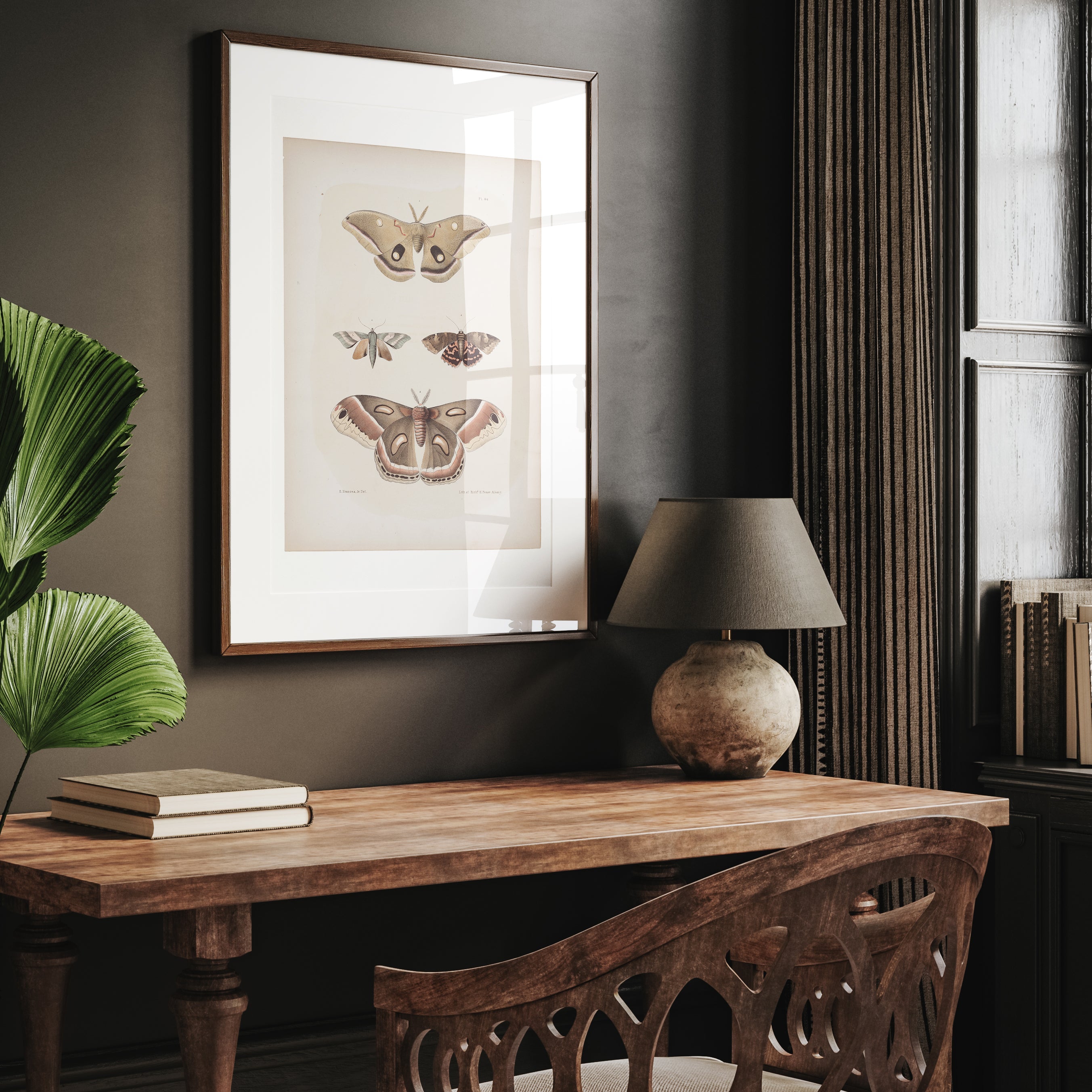 Antique Moth Illustration 16x20 Poster