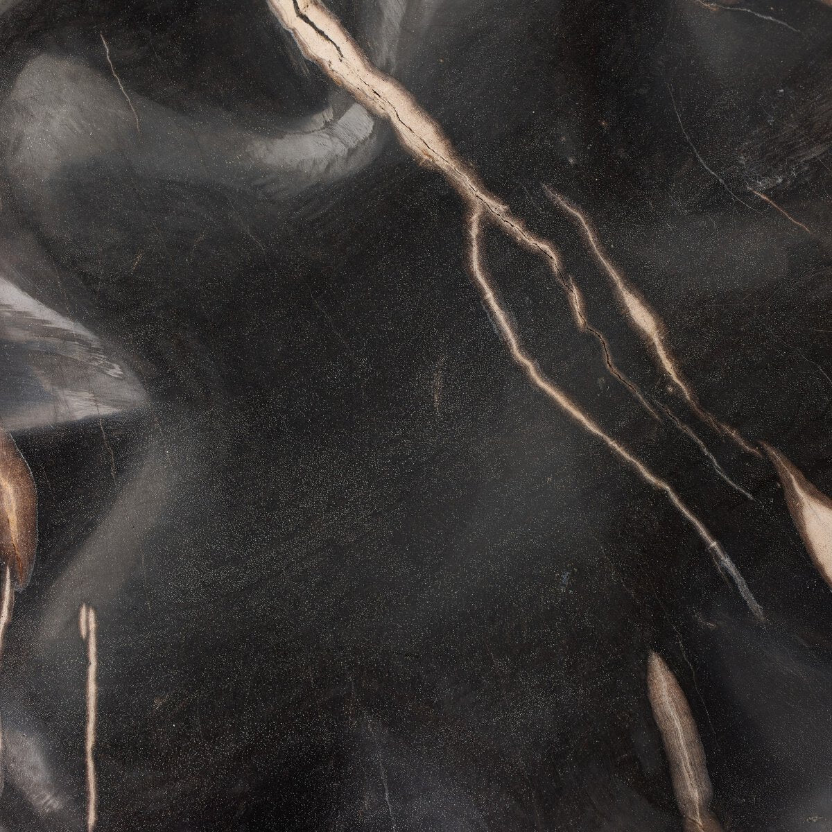 Petrified Wood Organic Sculpture, Set Of 3