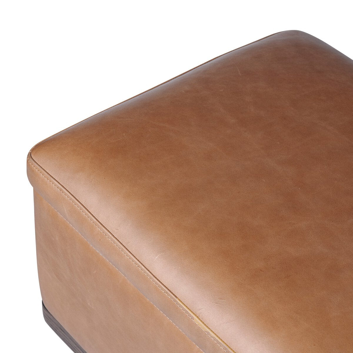 Iris Trunk Upholstered Storage Bench