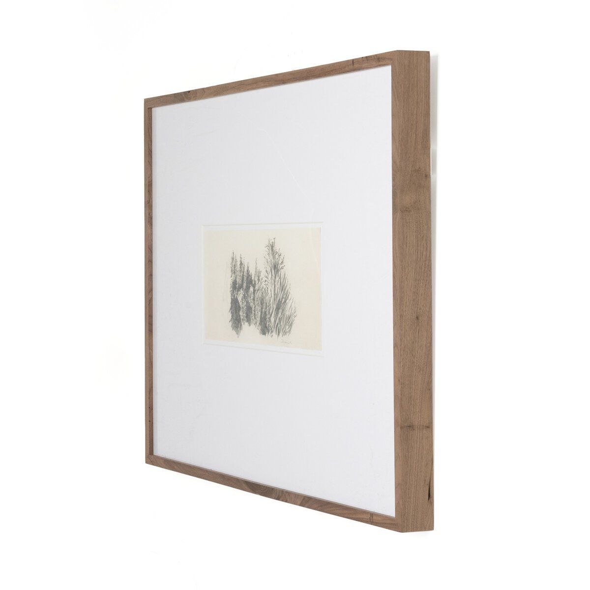 Tree Sketch By Dan Hobday