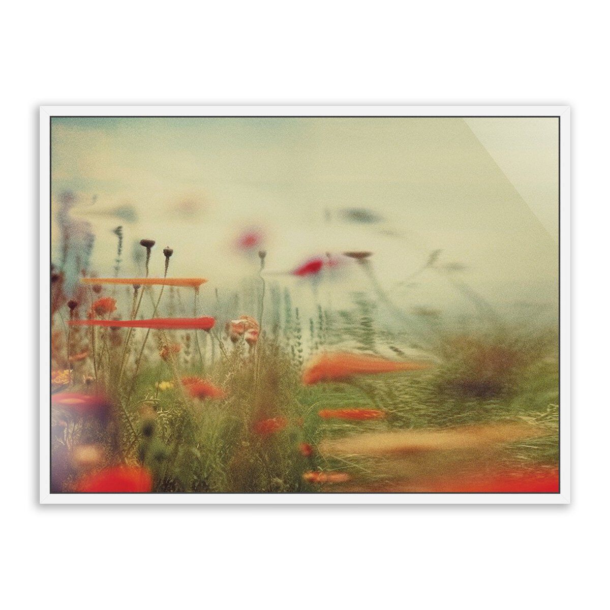 Prairie Ii By Coup D'esprit
