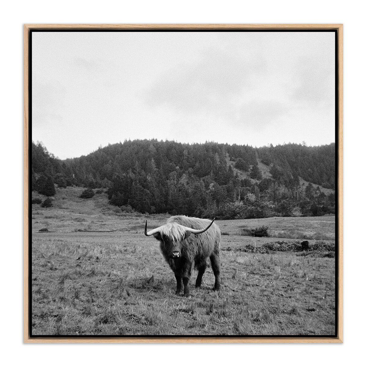 Highlander / Elk, Ca By Wesley And Emma Teague