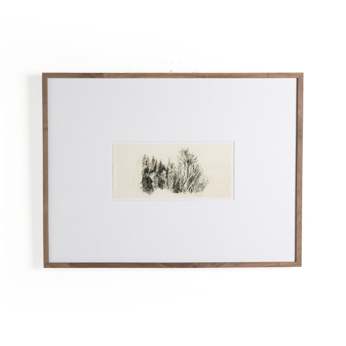 Tree Sketch By Dan Hobday
