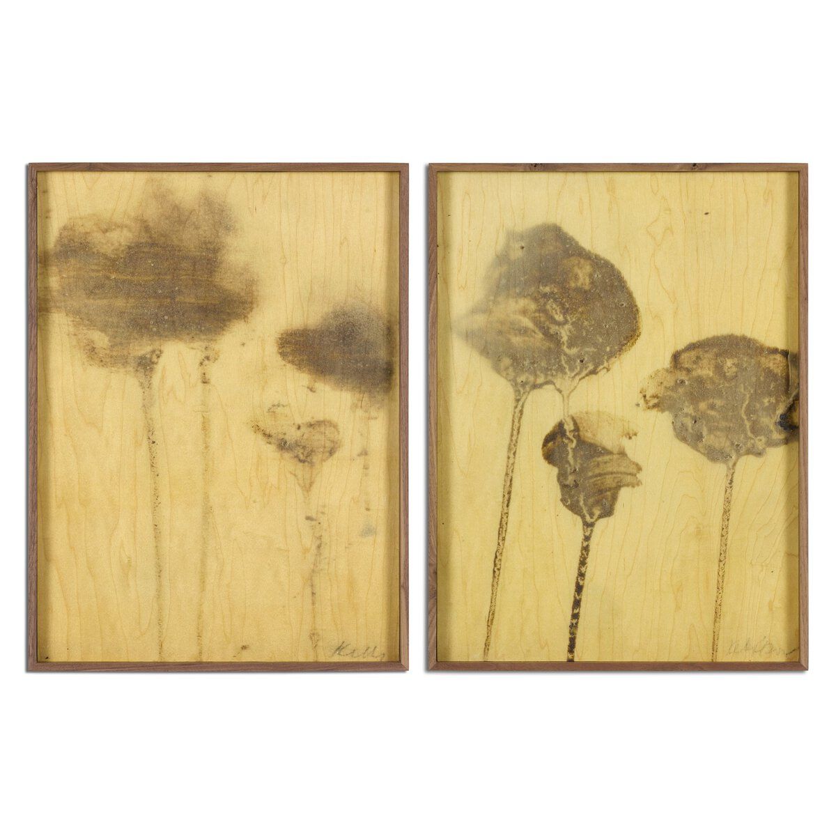 Lutare Diptych By Kelly Rogers