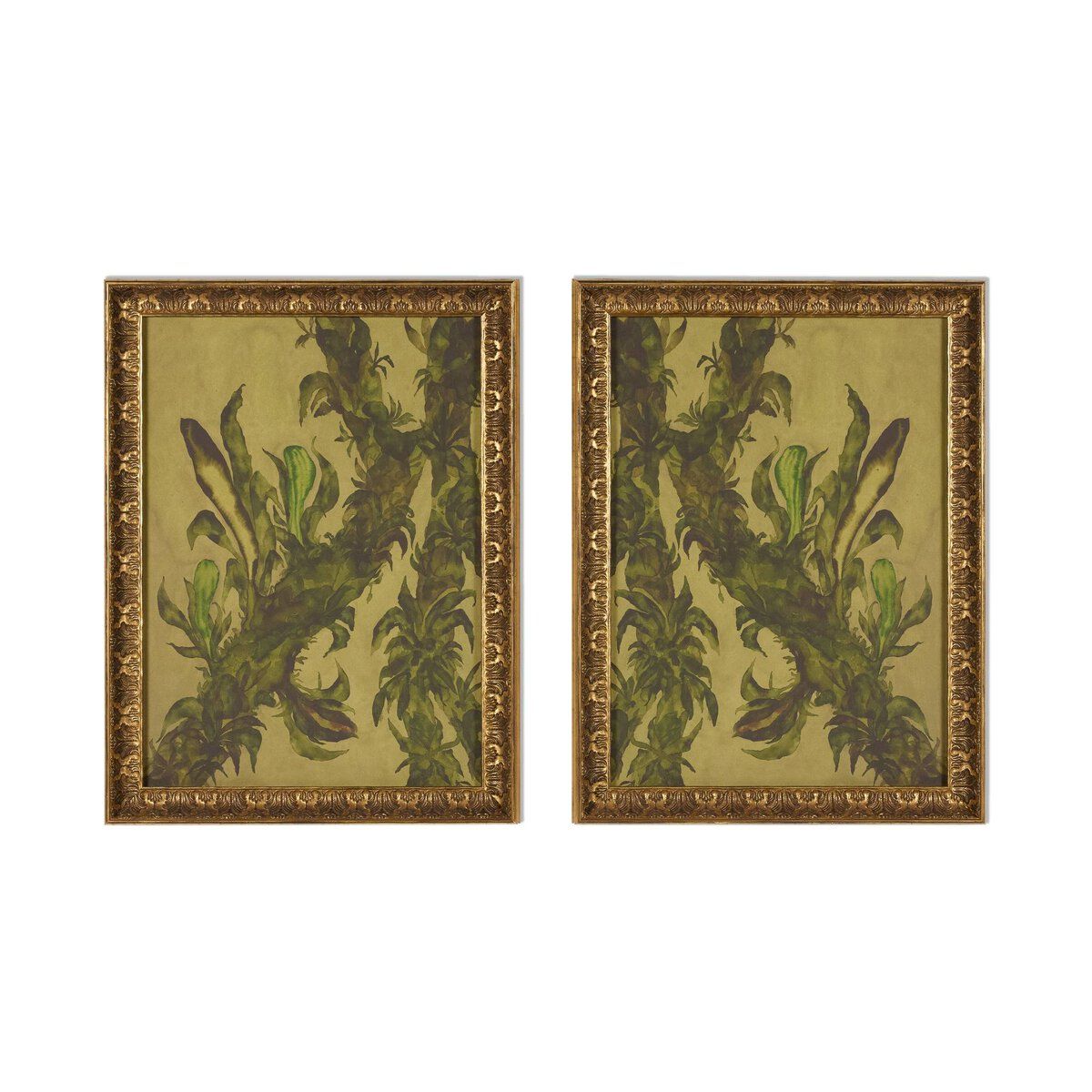 Epiphytes Diptych By Molly Franken