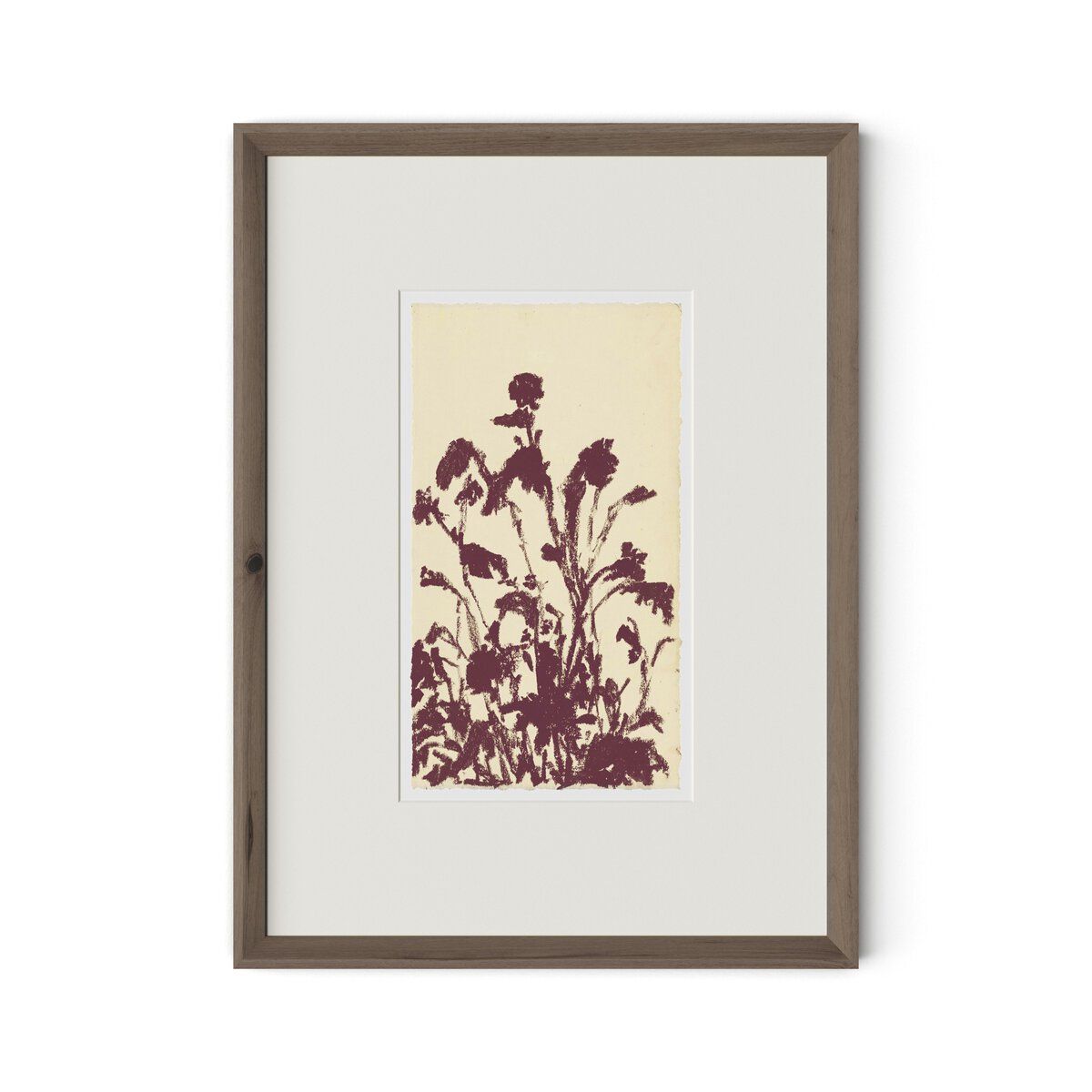 Meadow Rue No.6 By Shaina Page