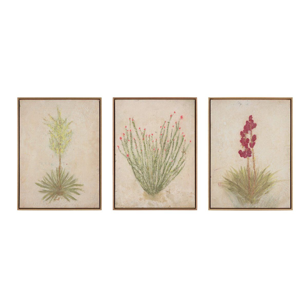 Desert Flora Triptych By Paul Meyer
