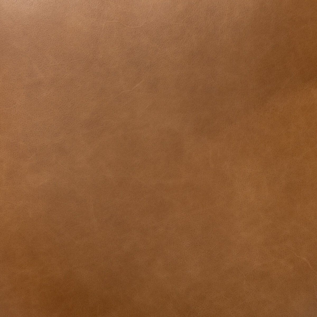 Hawkins Bar + Counter Stool