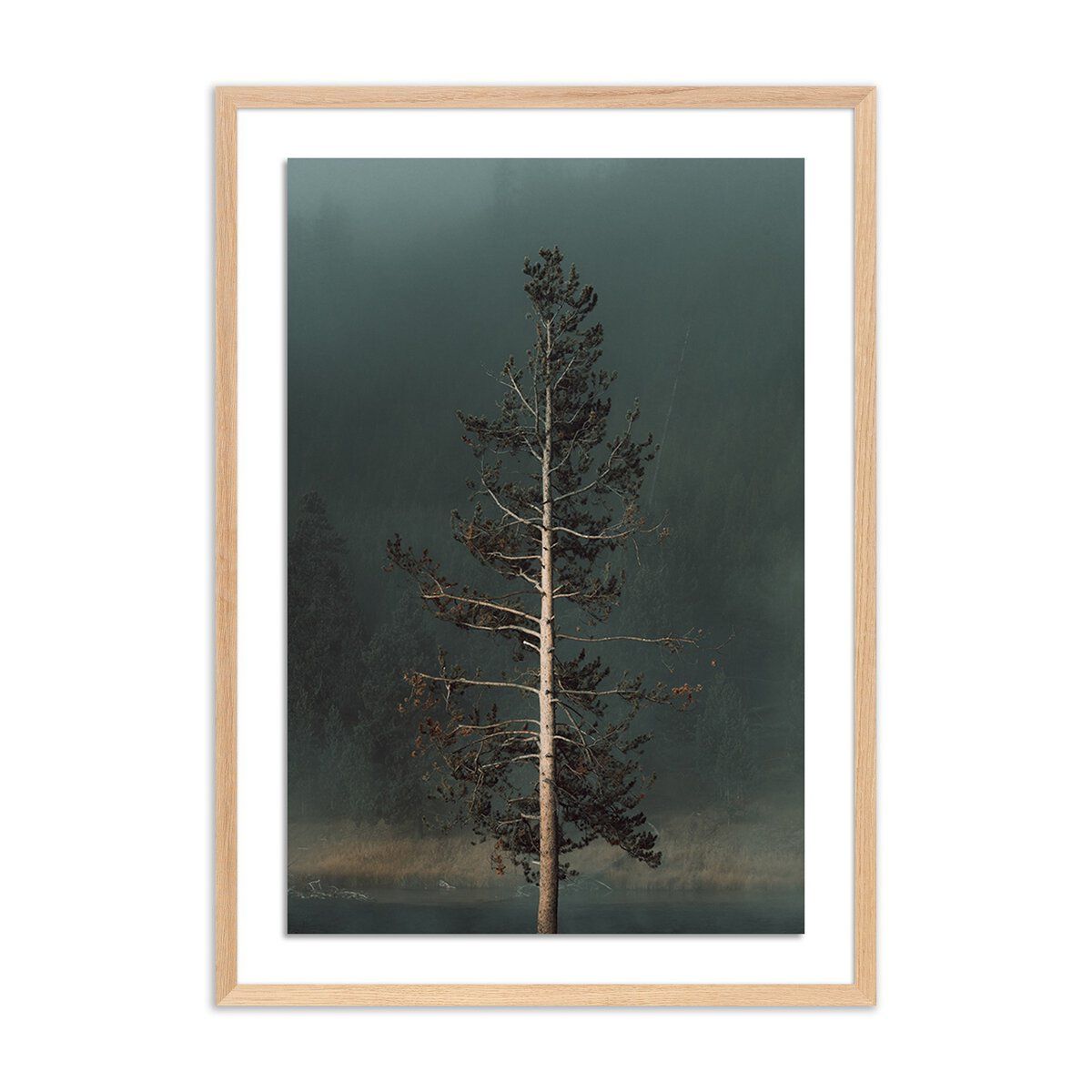 Winds I By Mandy Steinback