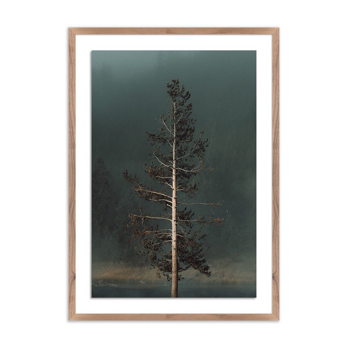 Winds I By Mandy Steinback