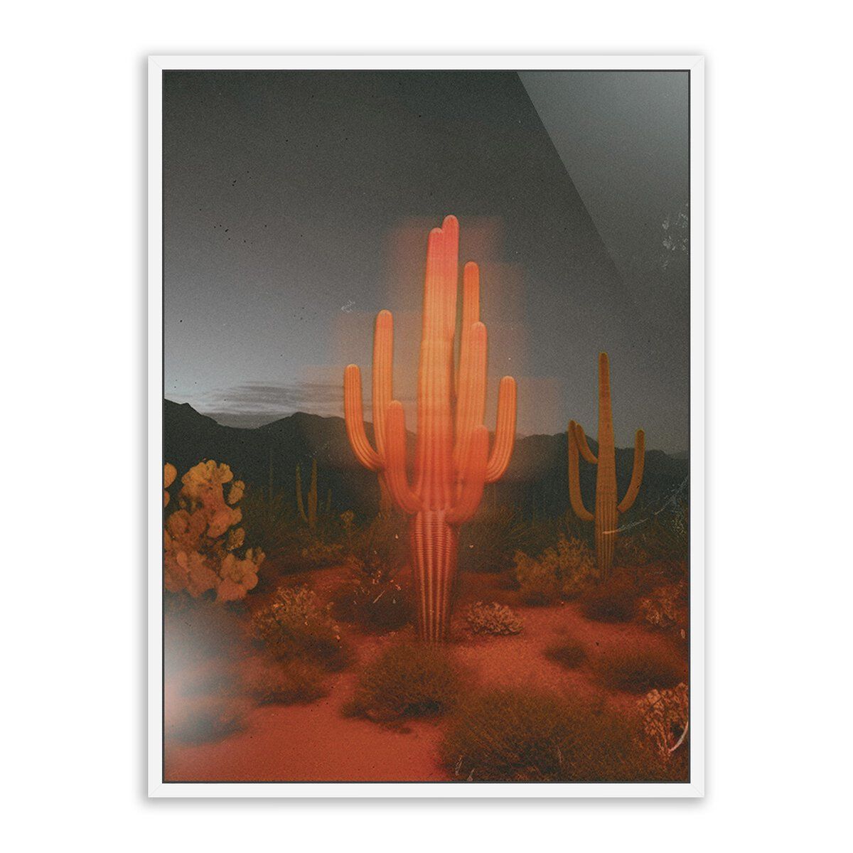 Glowing Saguaro By Coup D'esprit