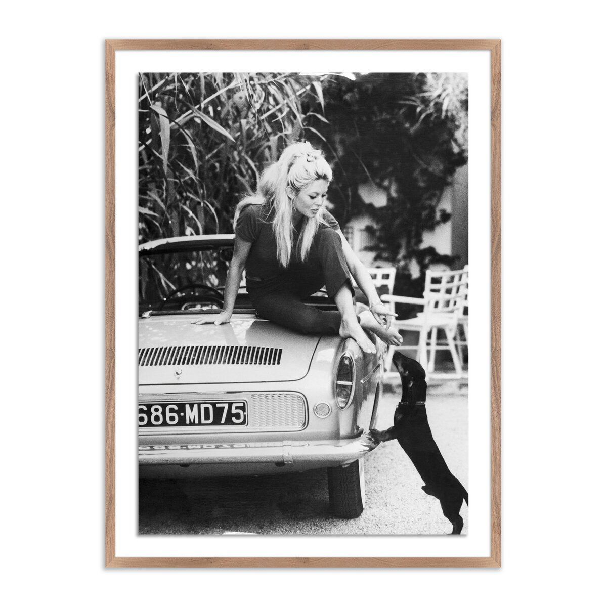 Brigitte Bardot With Dashchund By Getty Images