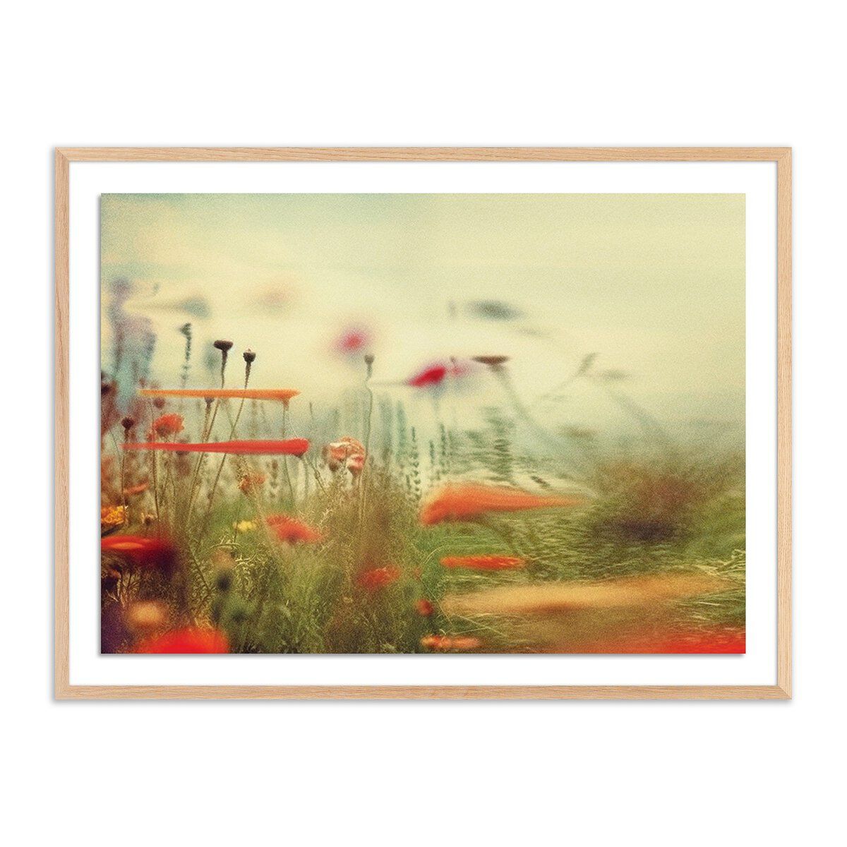 Prairie Ii By Coup D'esprit