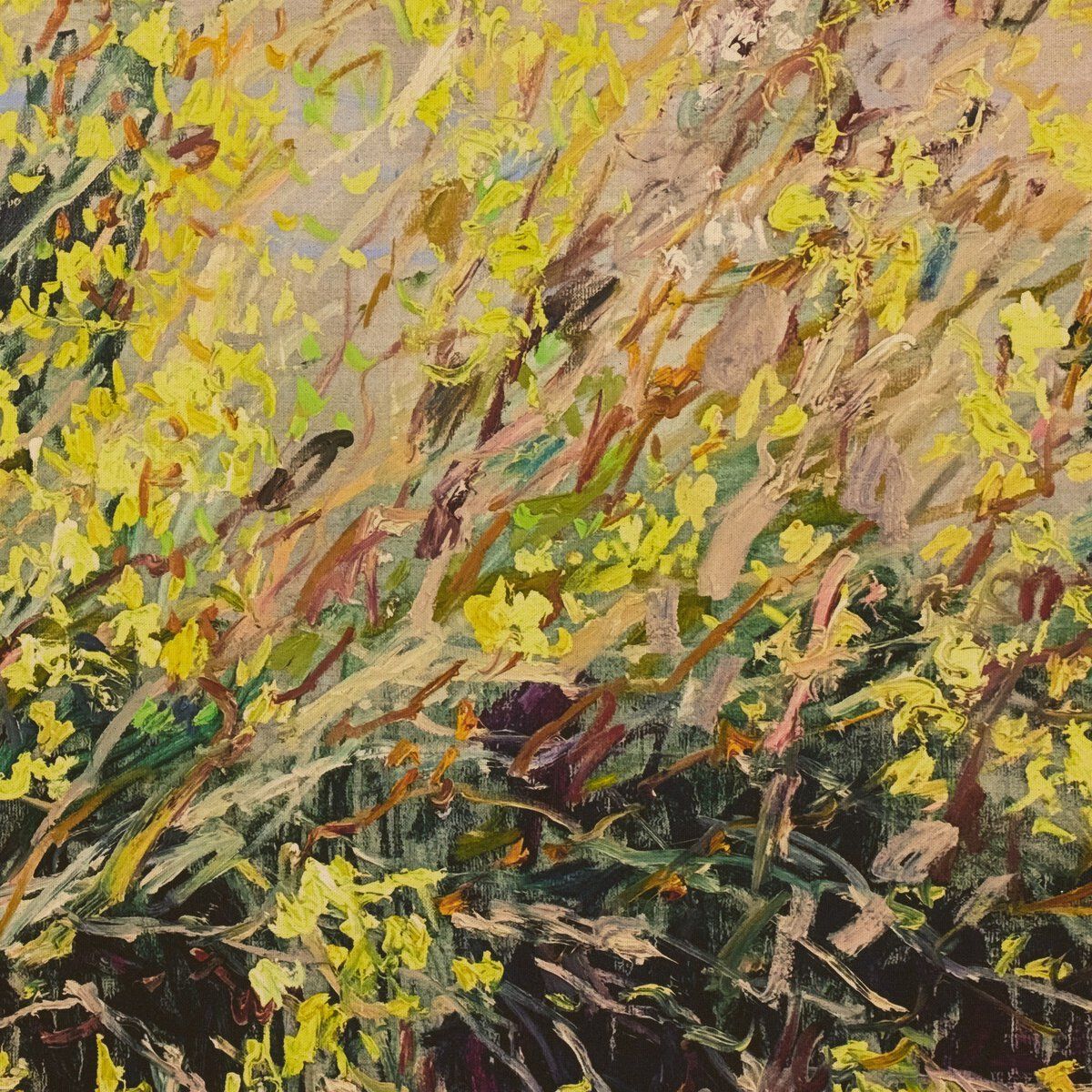 Forsythia Golden Bells By Lilia Orlova-holmes