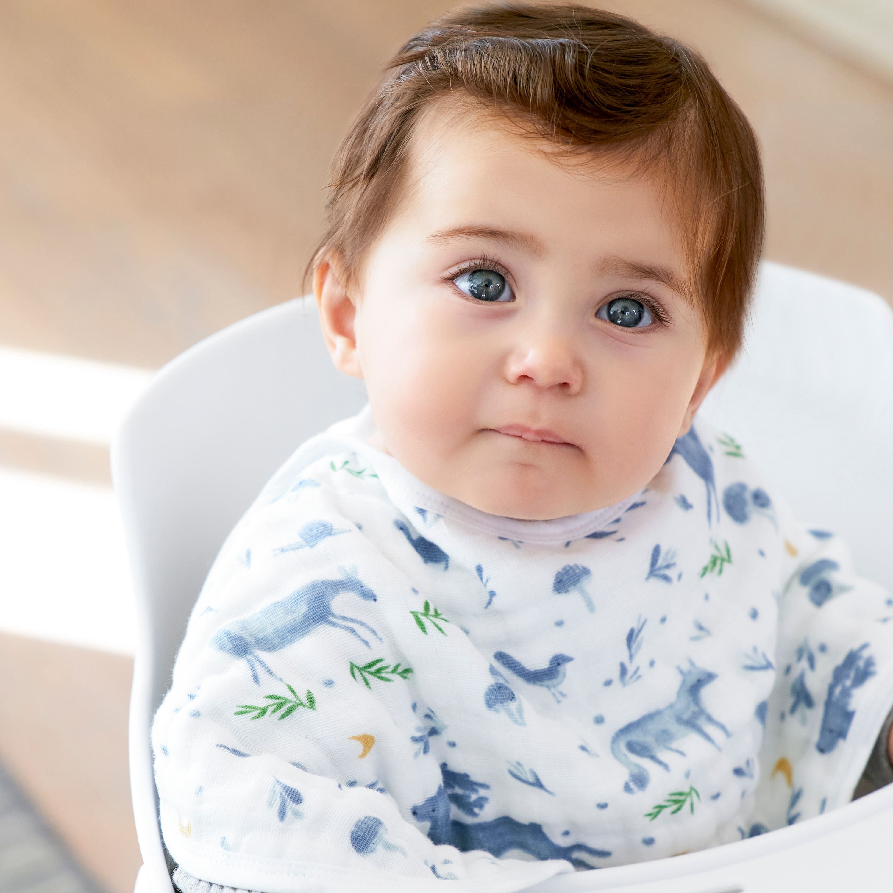 Organic Cotton Muslin Burpy Bibs 2 Pack