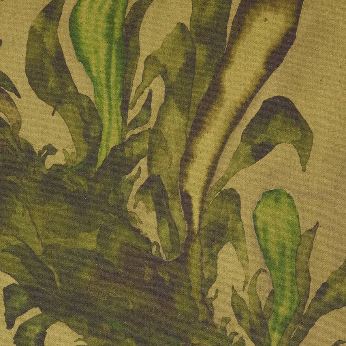 Epiphytes Diptych By Molly Franken