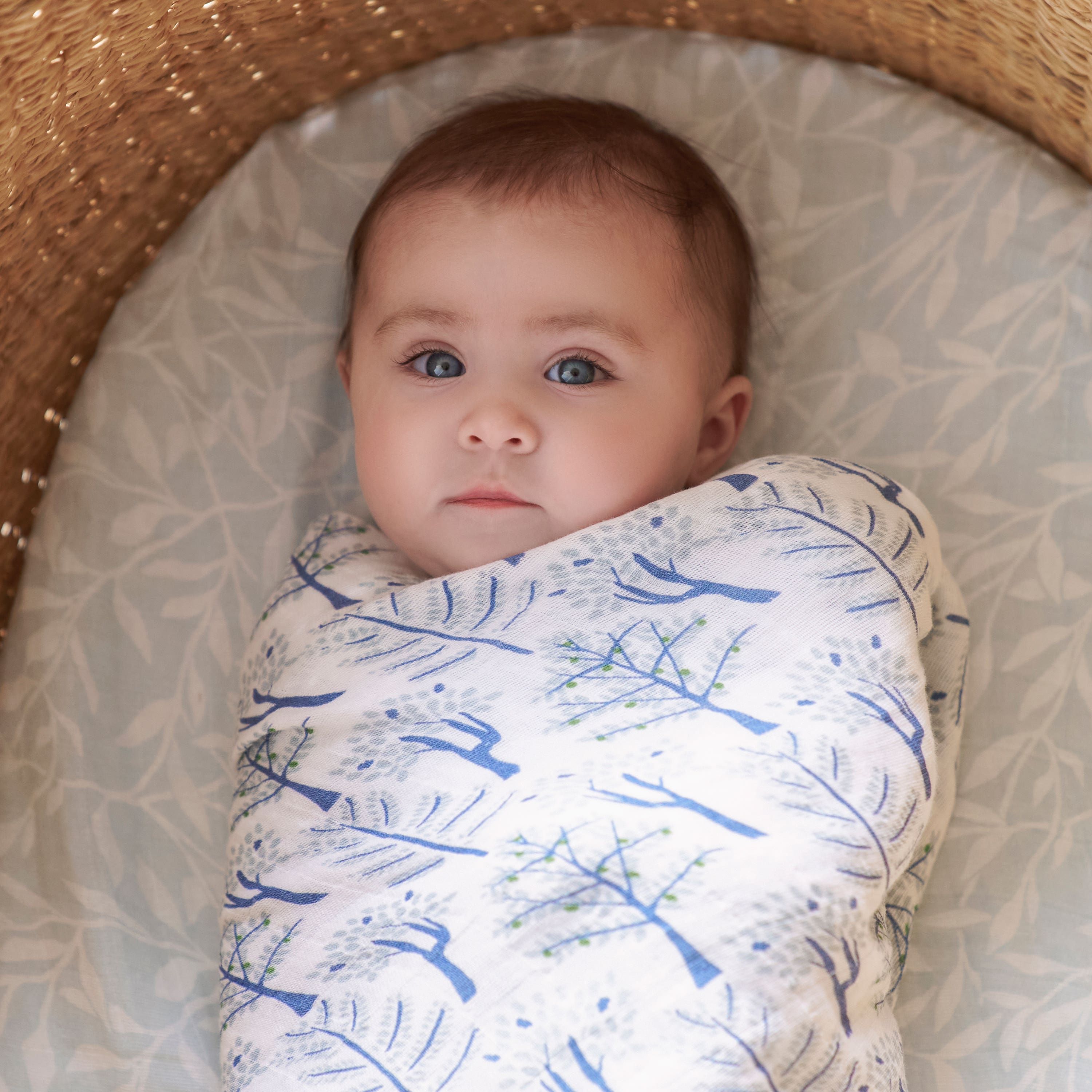 Organic Cotton Muslin Swaddle Blanket 4 Pack