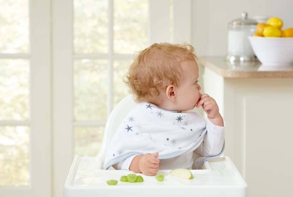 Boutique 100% Cotton Muslin Burpy Bibs 2 Pack