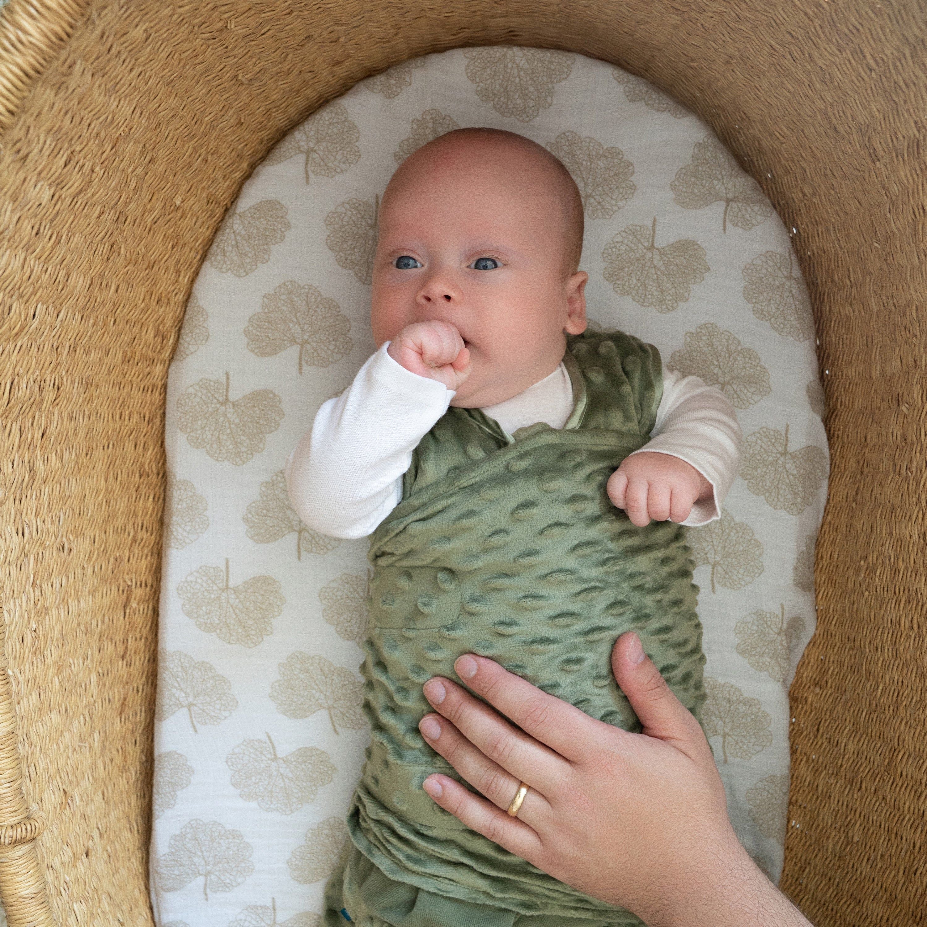 Halo Sleep Swaddle Plushy Dot Velboa Tog 3.0