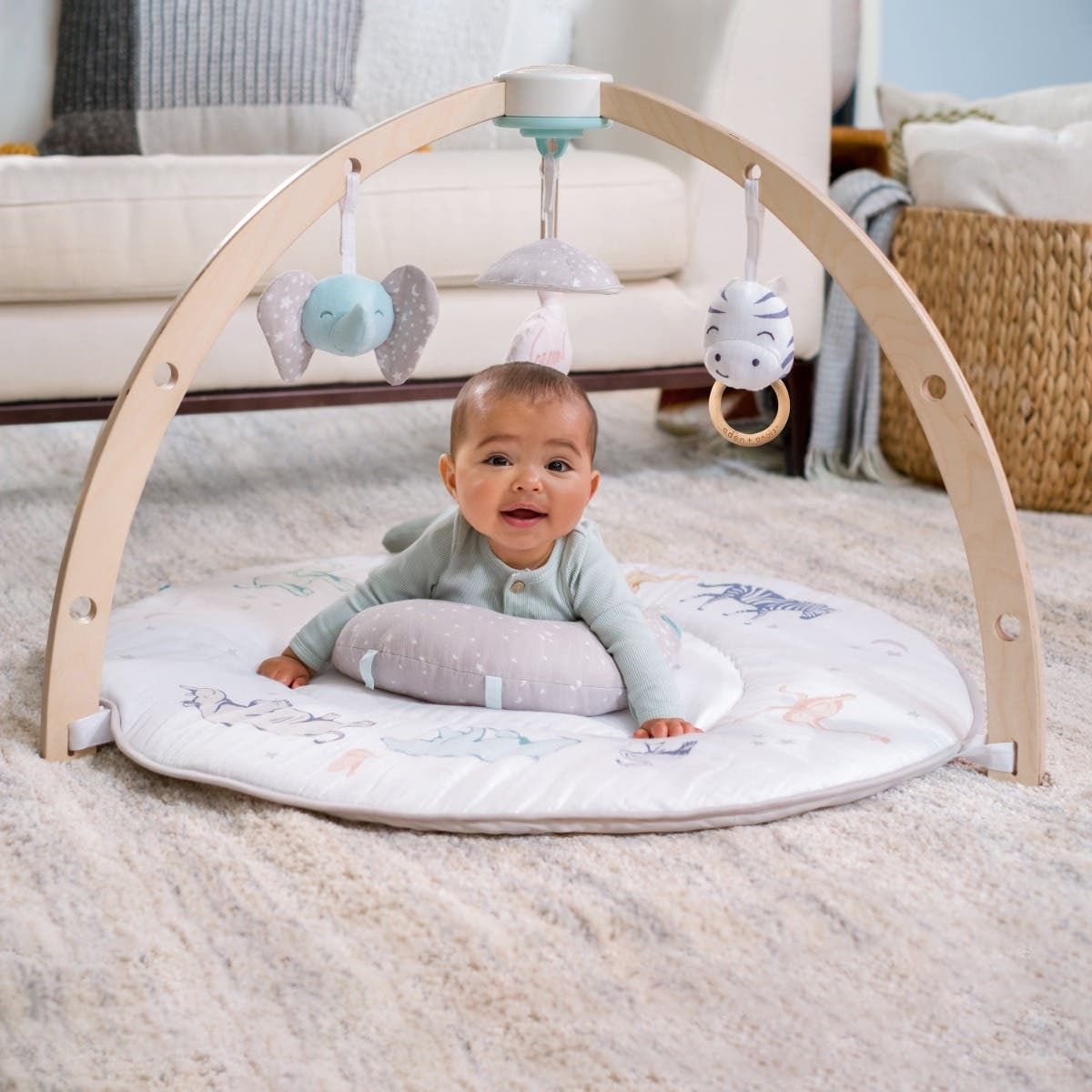 Baby Activity Gym