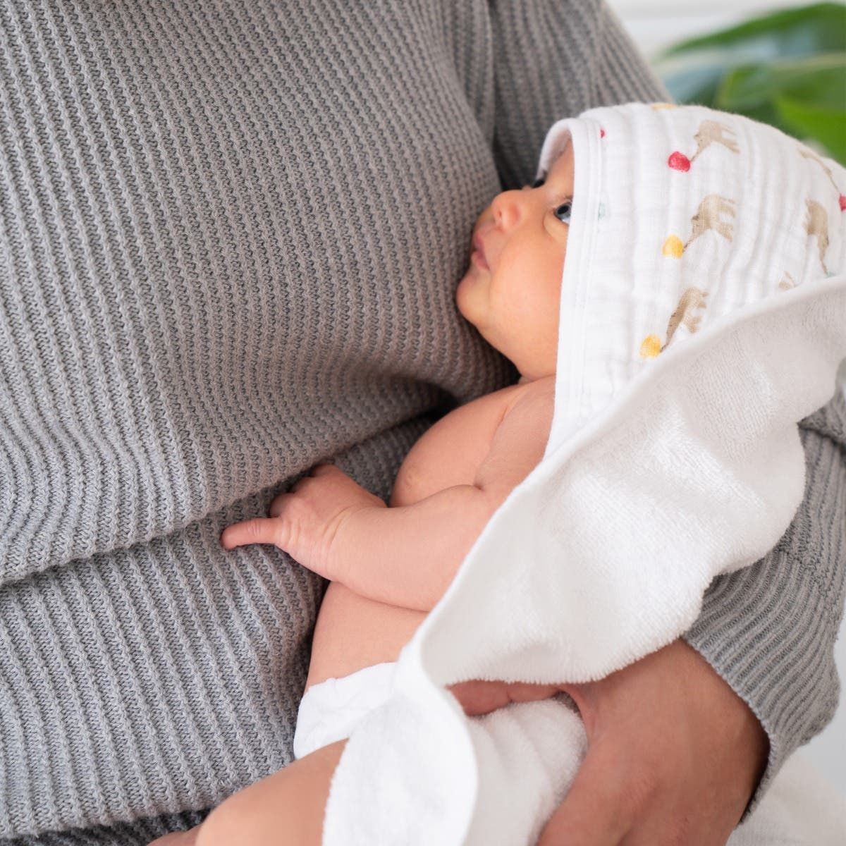 Essentials Cotton Muslin Hooded Towels 2 Pack