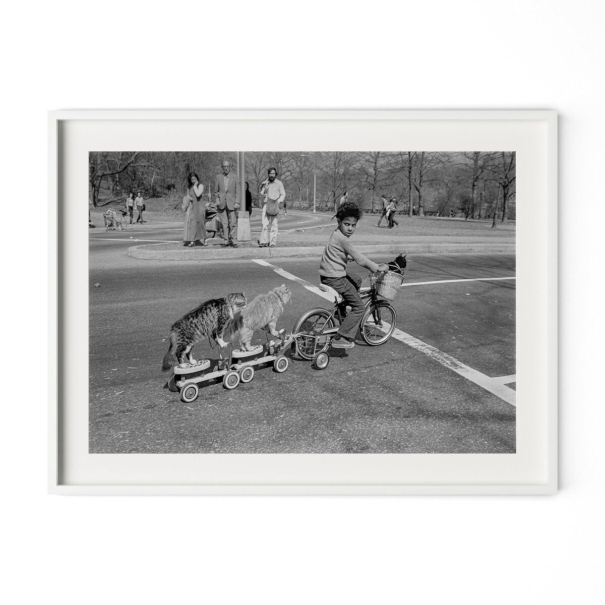 Taking The Cats For A Ride By Barbara Alper