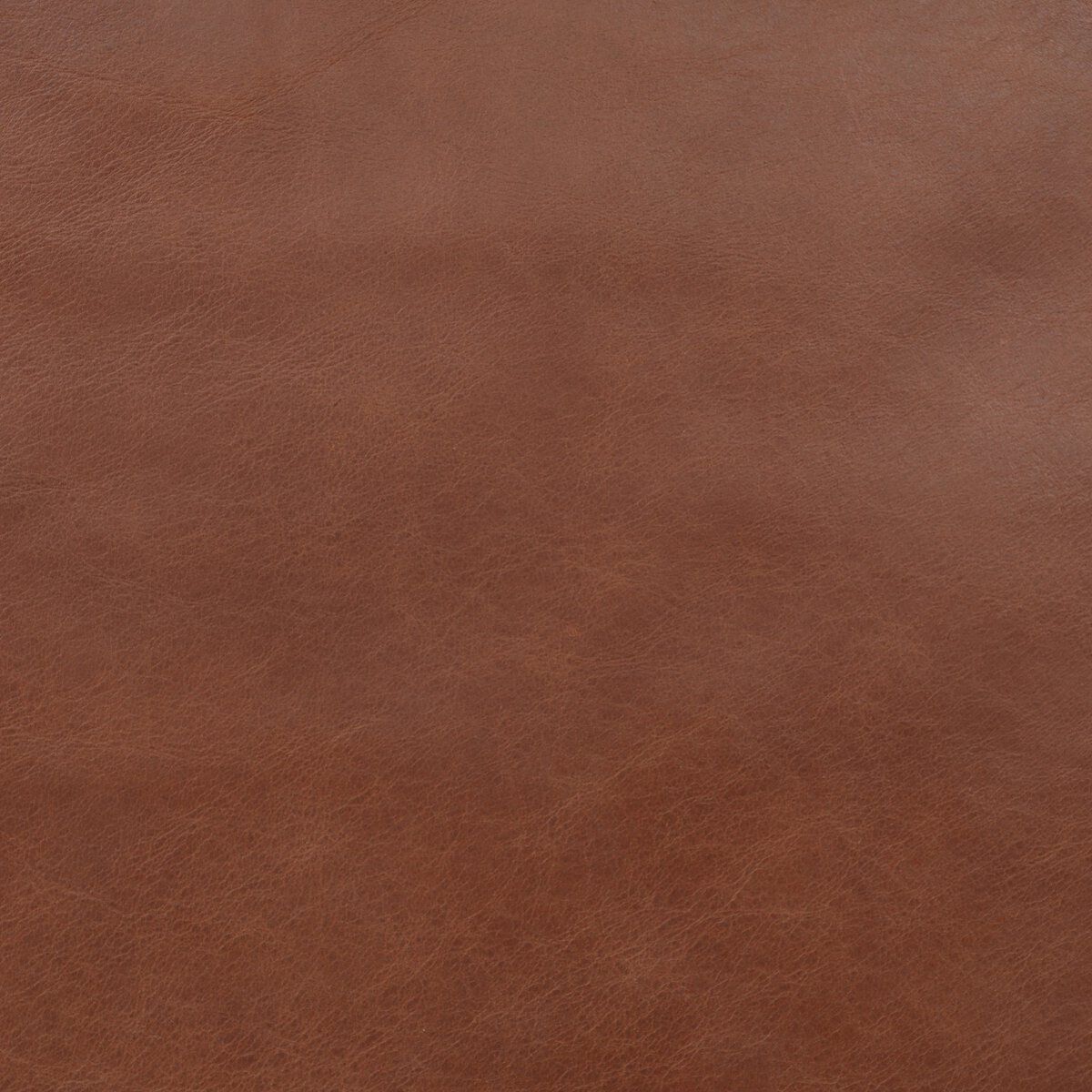 Fayth Bar + Counter Stool