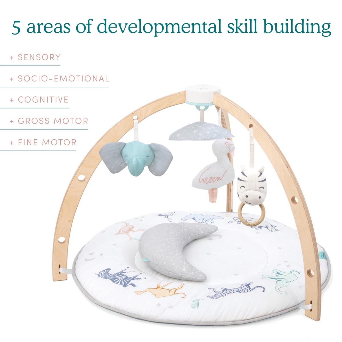 Baby Activity Gym