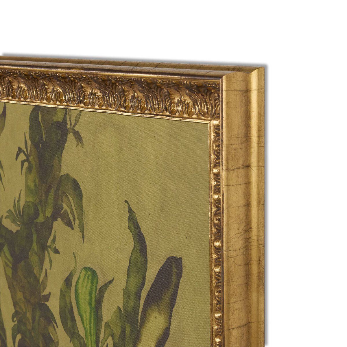 Epiphytes Diptych By Molly Franken