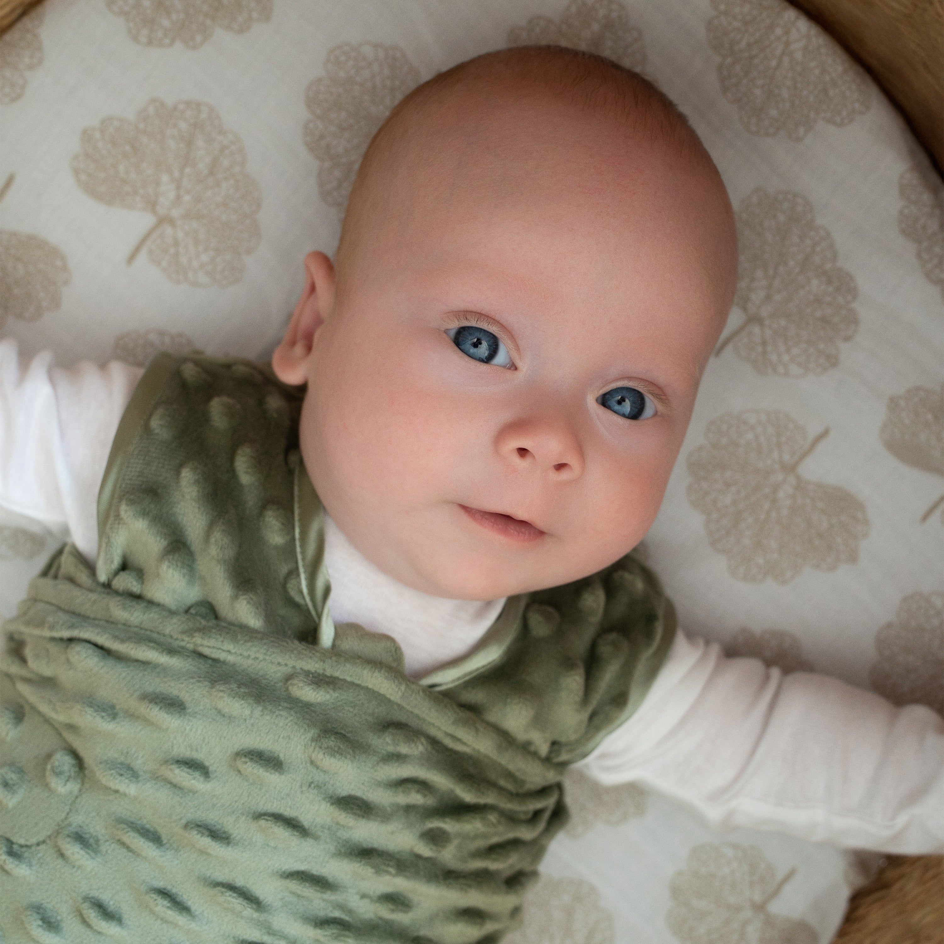 Halo Sleep Swaddle Plushy Dot Velboa Tog 3.0