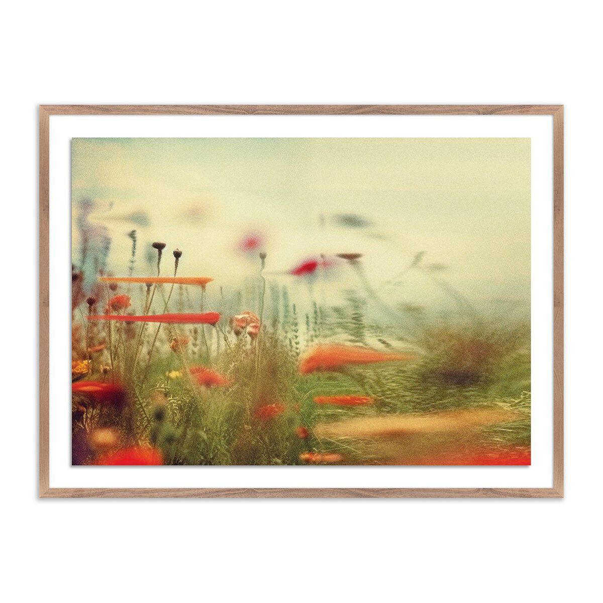 Prairie Ii By Coup D'esprit
